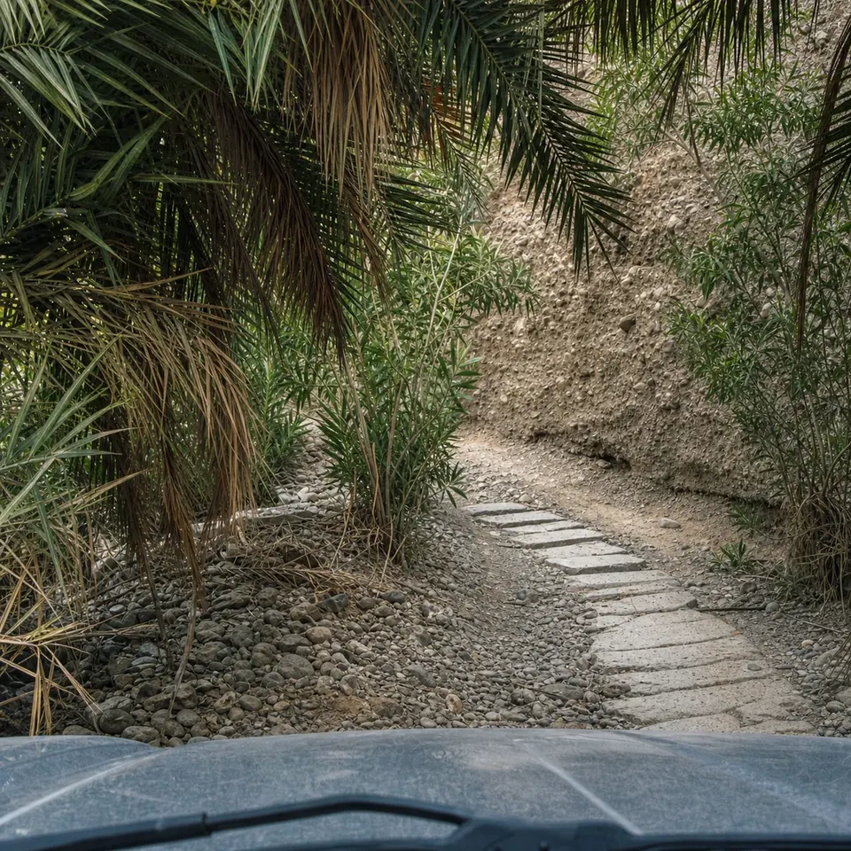 A stepped trail leading through palms in the Hajar Mountains.